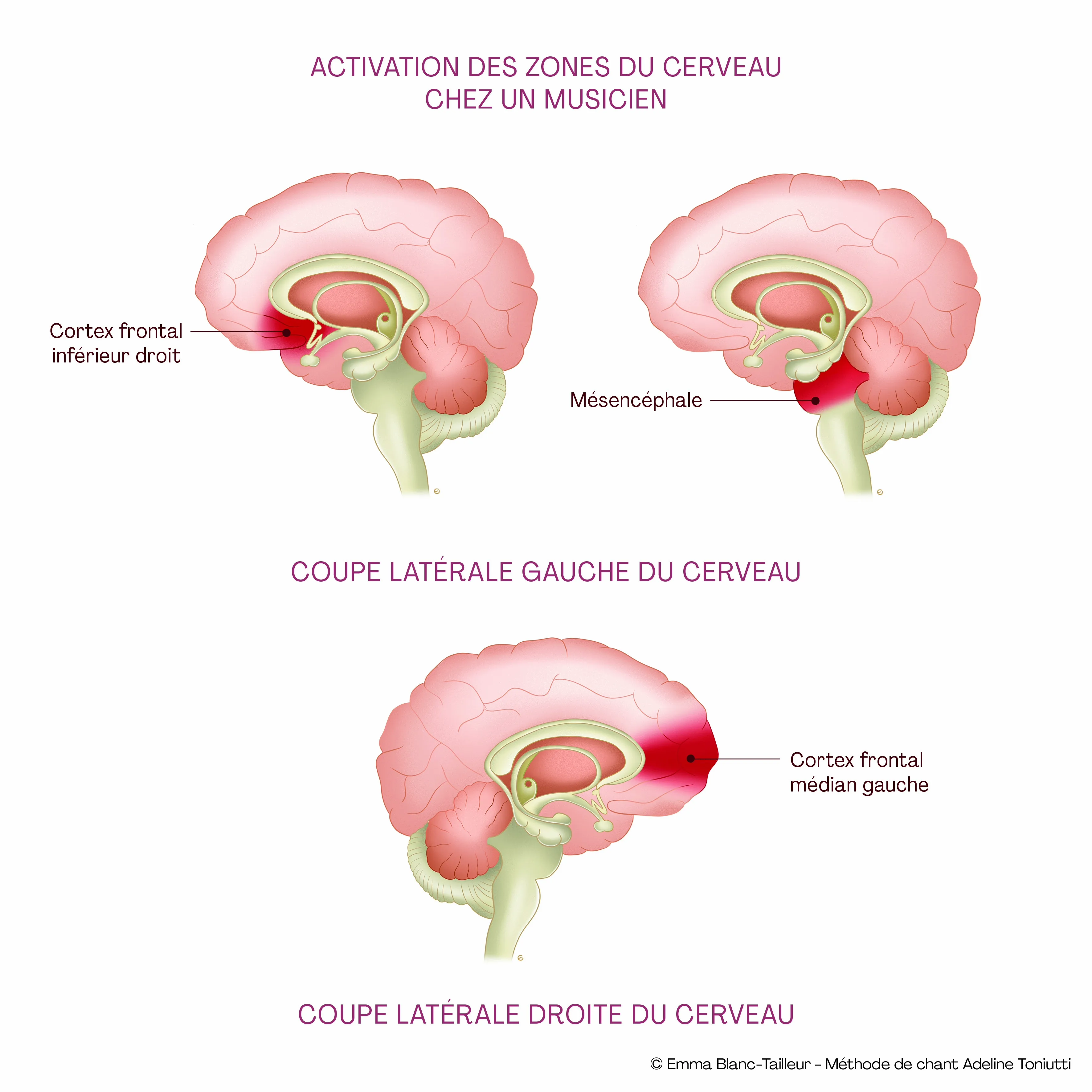 Activation cérébrale et stimulation